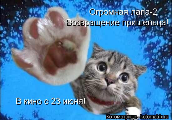 Огромная лапа-2 Возвращение пришельца! В кино с 23 июня!... Котоматрица: Огромная лапа-2 Возвращение пришельца! В кино с 23 июня!
