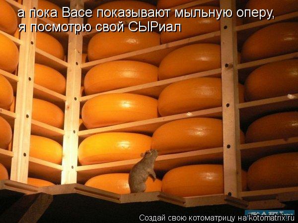 а пока Васе показывают мыльную оперу, я посмотрю свой СЫРиал... Котоматрица: а пока Васе показывают мыльную оперу, я посмотрю свой СЫРиал