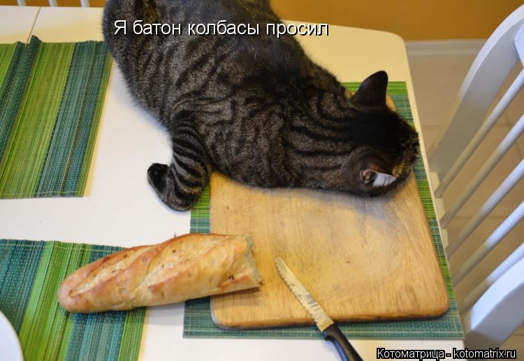 Я батон колбасы просил... Котоматрица: Я батон колбасы просил