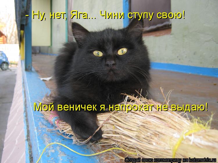 Мой веничек я напрокат не выдаю! - Ну, нет, Яга... Чини ступу свою!... Котоматрица: Мой веничек я напрокат не выдаю! - Ну, нет, Яга... Чини ступу свою!