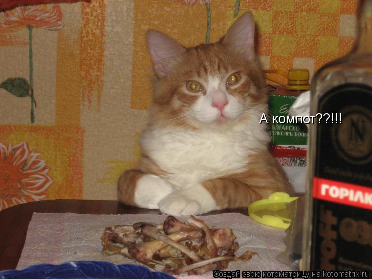 А компот??!!!... Котоматрица: А компот??!!!