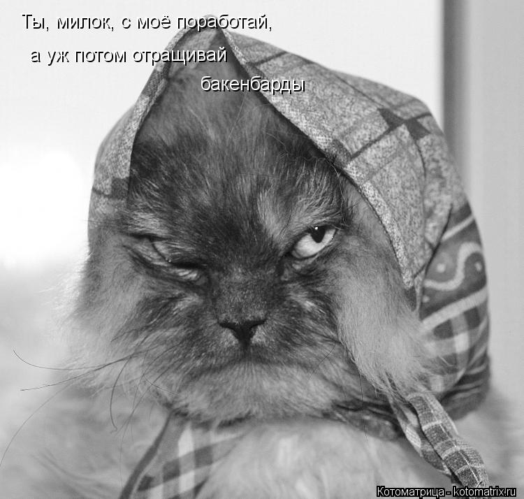 Ты, милок, с моё поработай, а уж потом отращивай бакенбарды... Котоматрица: Ты, милок, с моё поработай, а уж потом отращивай бакенбарды