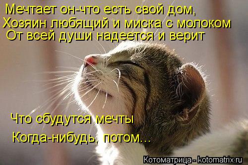 Мечтает он-что есть свой дом, Хозяин любящий и миска с молоком От всей души надеется и верит Что сбуд... Котоматрица: Мечтает он-что есть свой дом, Хозяин любящий и миска с молоком От всей души надеется и верит Что сбудутся мечты Когда-нибудь, потом...