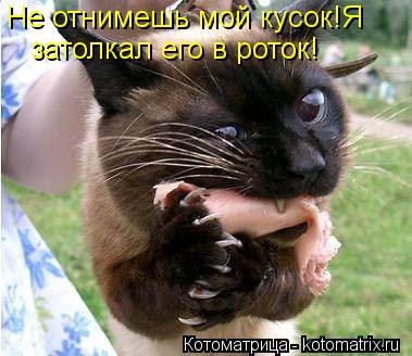 Не отнимешь мой кусок!Я затолкал его в роток!... Котоматрица: Не отнимешь мой кусок!Я затолкал его в роток!