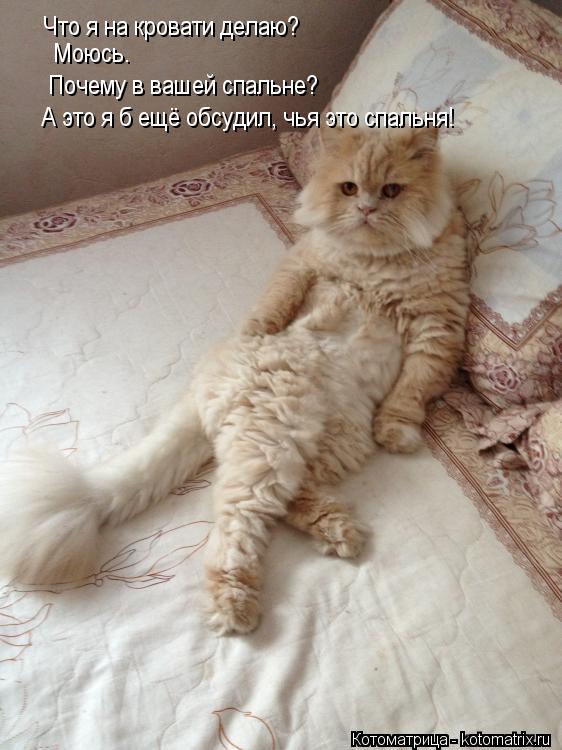 Что я на кровати делаю? Моюсь. Почему в вашей спальне? А это я б ещё обсудил, чья это спальня!... Котоматрица: Что я на кровати делаю? Моюсь. Почему в вашей спальне? А это я б ещё обсудил, чья это спальня!