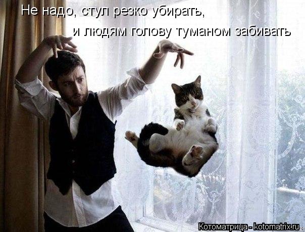 Не надо, стул резко убирать, и людям голову туманом забивать... Котоматрица: Не надо, стул резко убирать, и людям голову туманом забивать