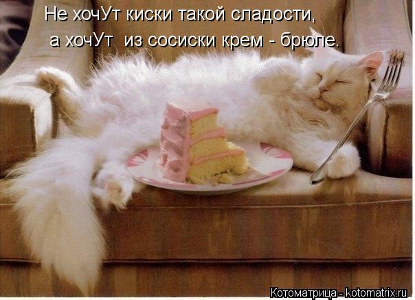 а хочУт из сосиски крем - брюле. Не хочУт киски такой сладости,... Котоматрица: а хочУт из сосиски крем - брюле. Не хочУт киски такой сладости,