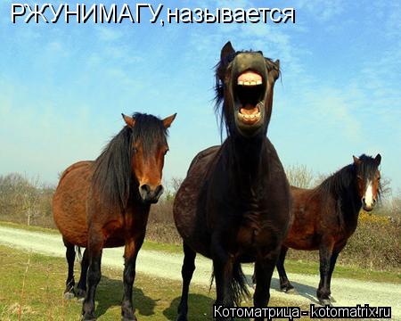 РЖУНИМАГУ,называется... Котоматрица: РЖУНИМАГУ,называется