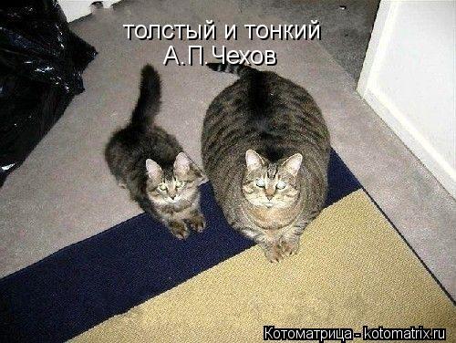 Котоматрица: толстый и тонкий толстый и тонкий А.П.Чехов А.П.Чехов