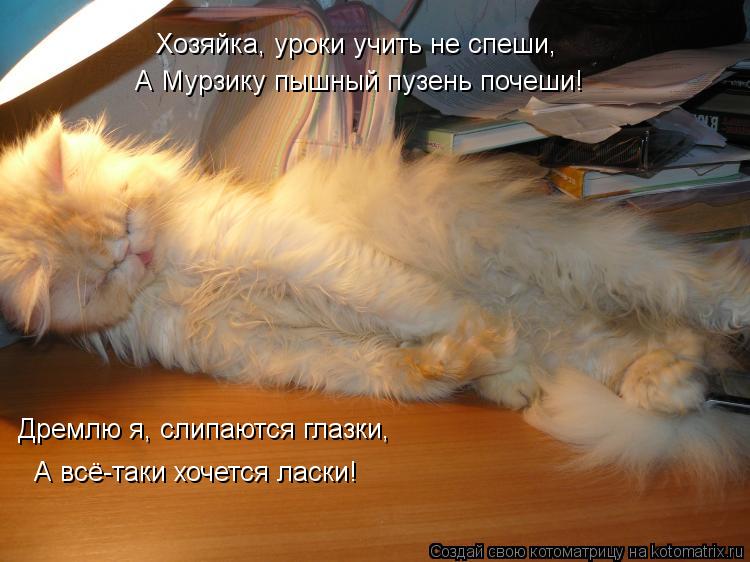 Котоматрица: Хозяйка, уроки учить не спеши, А Мурзику пышный пузень почеши! Дремлю я, слипаются глазки, А всё-таки хочется ласки!