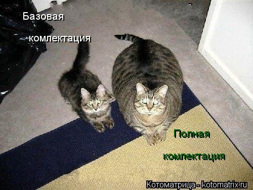 Базовая комлектация Полная комлектация... Котоматрица: Базовая комлектация Полная комлектация