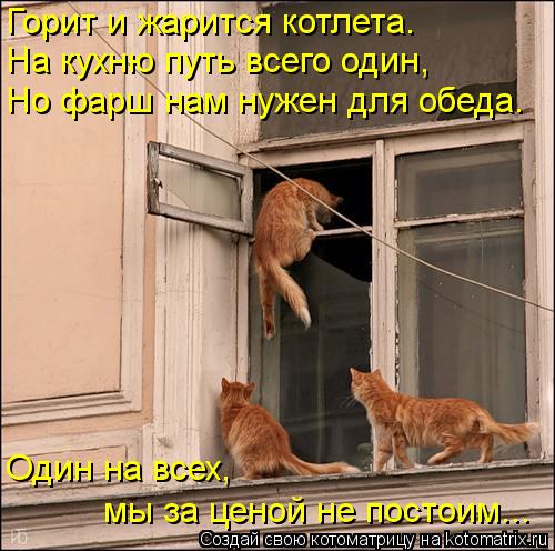 Горит и жарится котлета. На кухню путь всего один, Но фарш нам нужен для обеда. Один на всех, мы за ... Котоматрица: Горит и жарится котлета. На кухню путь всего один, Но фарш нам нужен для обеда. Один на всех, мы за ценой не постоим...