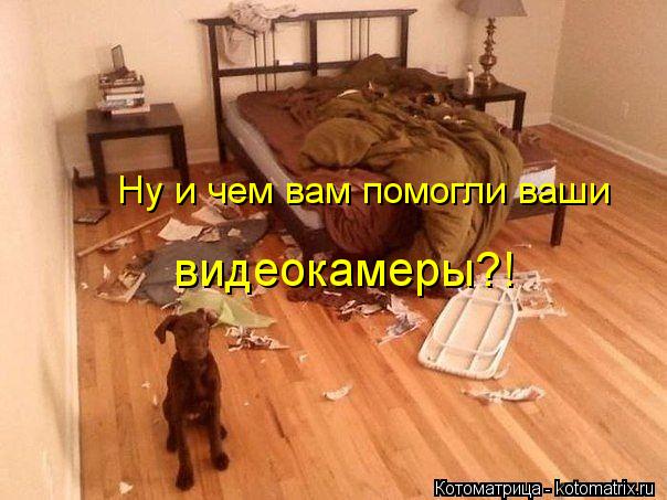 Котоматрица: Ну и чем вам помогли ваши видеокамеры?!