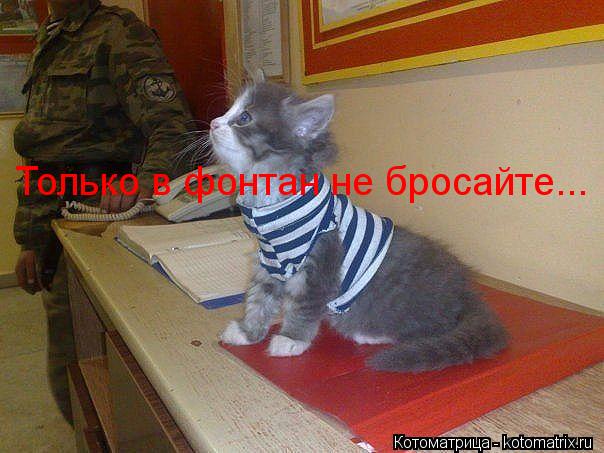 Котоматрица: Только в фонтан не бросайте...