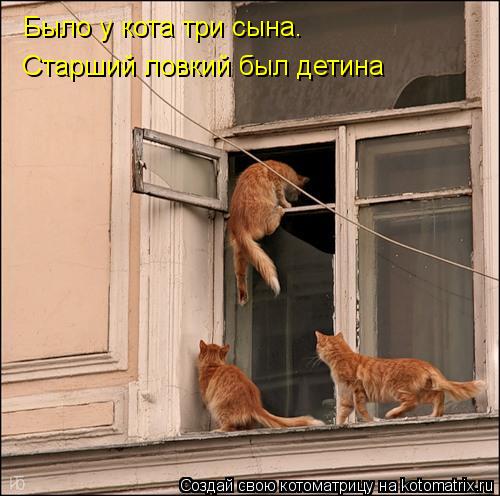 Было у кота три сына. Старший ловкий был детина... Котоматрица: Было у кота три сына. Старший ловкий был детина
