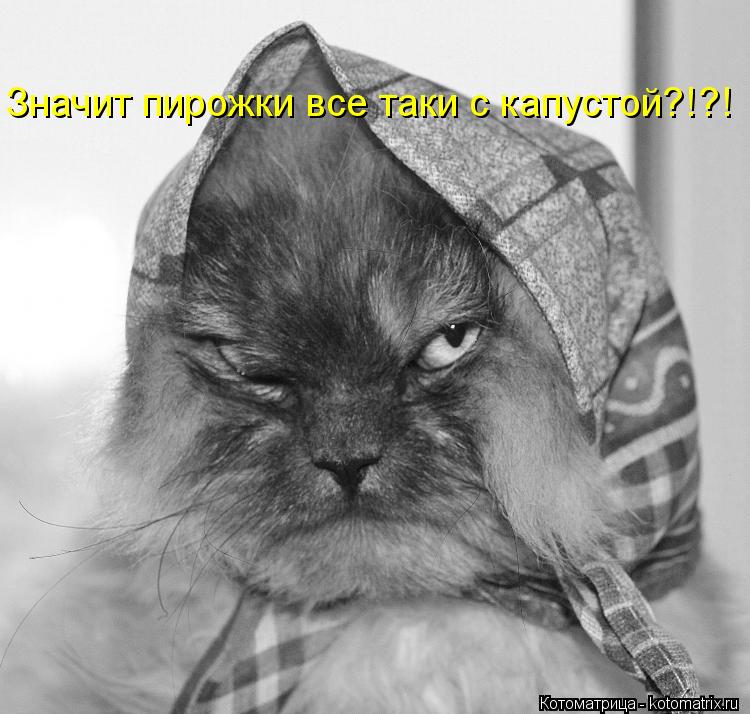 Значит пирожки все таки с капустой?!?!... Котоматрица: Значит пирожки все таки с капустой?!?!