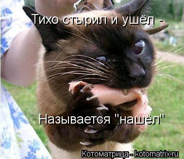 Тихо стырил и ушёл - Называется "нашёл"... Котоматрица: Тихо стырил и ушёл - Называется "нашёл"