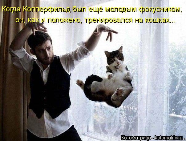 Когда Копперфильд был ещё молодым фокусником, он, как и положено, тренировался на кошках...... Котоматрица: Когда Копперфильд был ещё молодым фокусником, он, как и положено, тренировался на кошках...