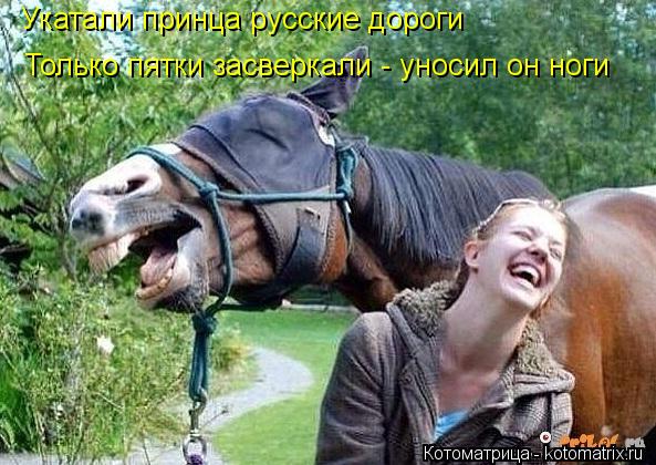 Укатали принца русские дороги Только пятки засверкали - уносил он ноги... Котоматрица: Укатали принца русские дороги Только пятки засверкали - уносил он ноги