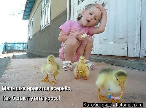 Котоматрица: Малышке нравится всерьёз, Как бегают утята кросс!