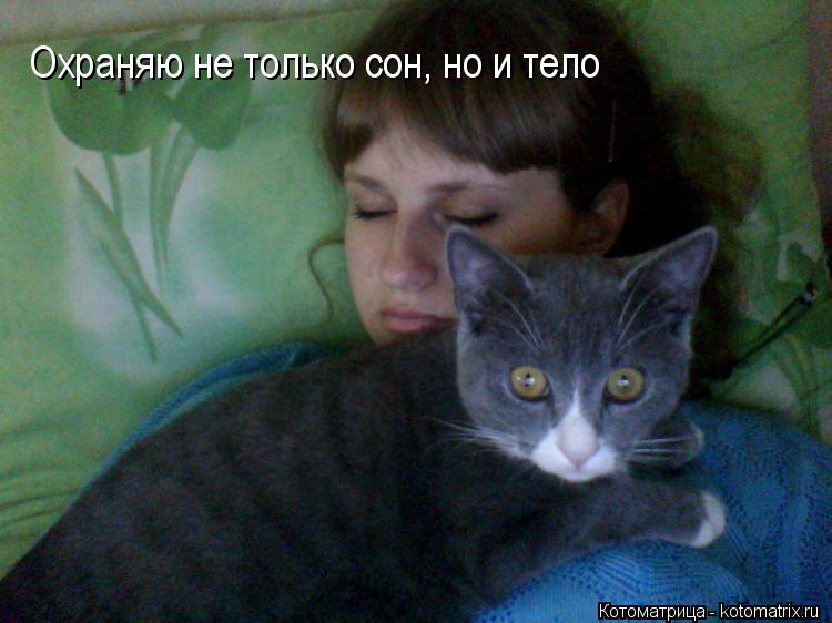 Охраняю не только сон, но и тело... Котоматрица: Охраняю не только сон, но и тело