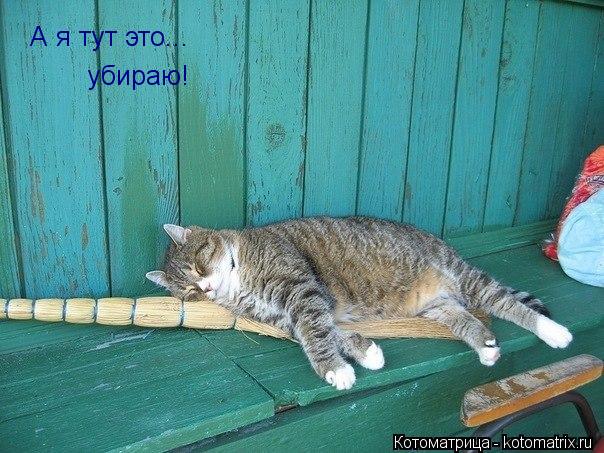 А я тут это... убираю!... Котоматрица: А я тут это... убираю!