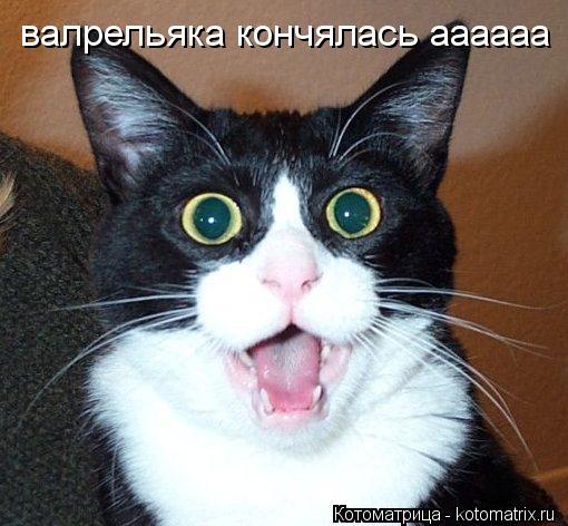 Котоматрица: валрельяка кончялась аааааа