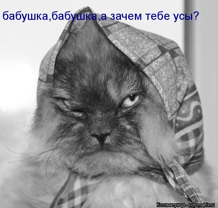 бабушка,бабушка,а зачем тебе усы?... Котоматрица: бабушка,бабушка,а зачем тебе усы?