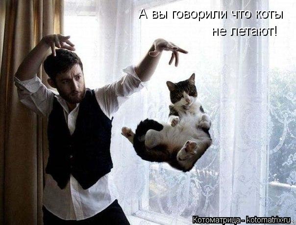 А вы говорили что коты не летают!... Котоматрица: А вы говорили что коты не летают!