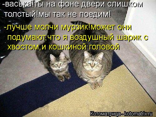 -васька!ты на фоне двери слишком толстый!мы так не поедим! -лучше молчи мурзик!может они подумают,чт... Котоматрица: -васька!ты на фоне двери слишком толстый!мы так не поедим! -лучше молчи мурзик!может они подумают,что я воздушный шарик с хвостом,и кошкиной