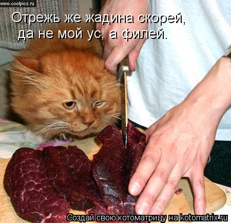Отрежь же жадина скорей, да не мой ус, а филей.... Котоматрица: Отрежь же жадина скорей, да не мой ус, а филей.