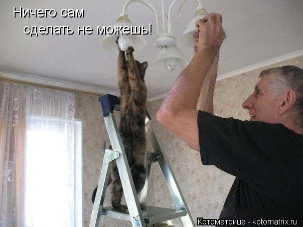 Ничего сам сделать не можешь!... Котоматрица: Ничего сам сделать не можешь!