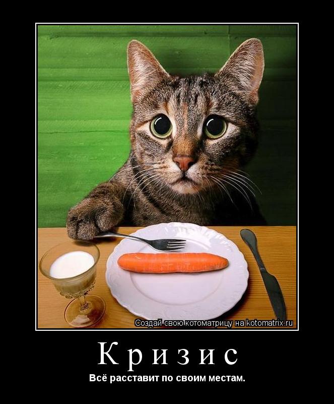 Котоматрица: Кризис Всё расставит по своим местам.