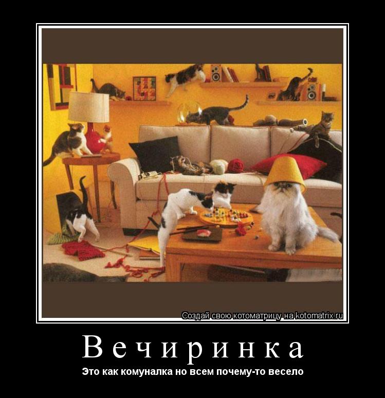 Котоматрица: Вечиринка Это как комуналка но всем почему-то весело