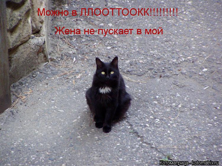 Можно в ЛЛООТТООКК!!!!!!!!! Жена не пускает в мой... Котоматрица: Можно в ЛЛООТТООКК!!!!!!!!! Жена не пускает в мой
