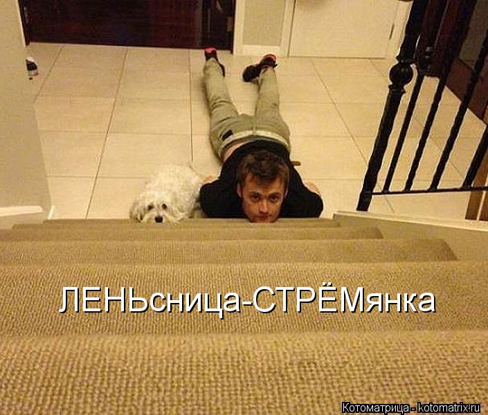 Котоматрица: ЛЕНЬсница-СТРЁМянка