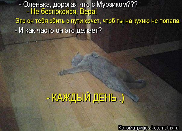 - Оленька, дорогая что с Мурзиком??? - Не беспокойся, Вера! Это он тебя сбить с пути хочет, чтоб ты... Котоматрица: - Оленька, дорогая что с Мурзиком??? - Не беспокойся, Вера! Это он тебя сбить с пути хочет, чтоб ты на кухню не попала. - И как часто он это делае