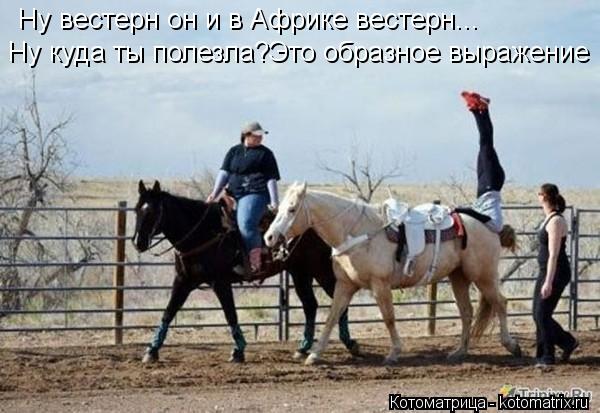 Котоматрица: Ну вестерн он и в Африке вестерн... Ну куда ты полезла?Это образное выражение