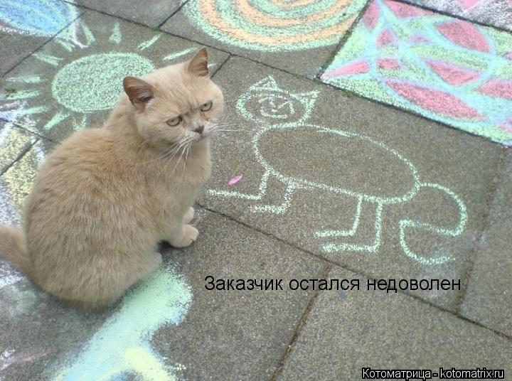 Заказчик остался недоволен... Котоматрица: Заказчик остался недоволен