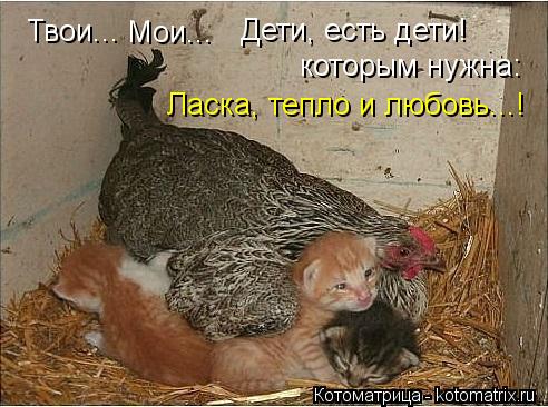 Твои... Мои... Дети, есть дети! которым нужна: Ласка, тепло и любовь...!... Котоматрица: Твои... Мои... Дети, есть дети! которым нужна: Ласка, тепло и любовь...!