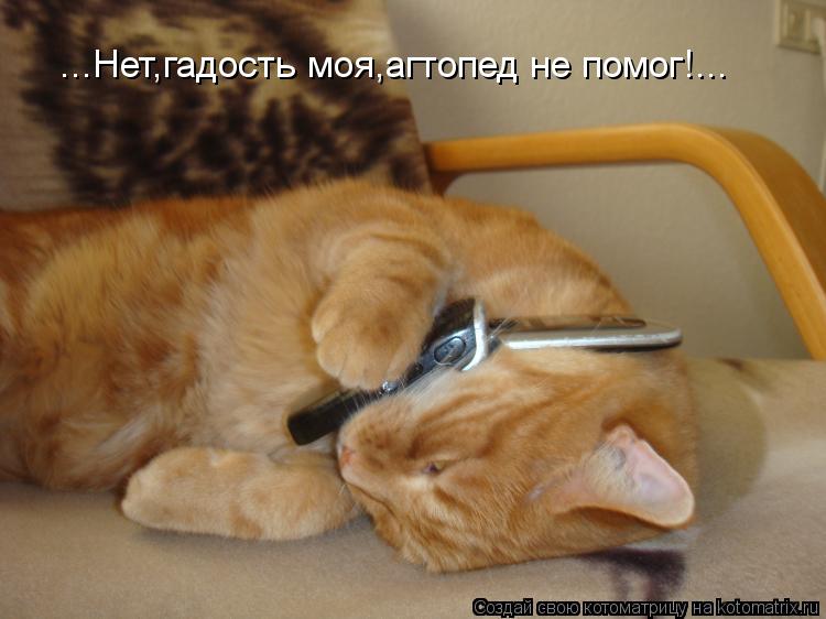 ...Нет,гадость моя,агтопед не помог!...... Котоматрица: ...Нет,гадость моя,агтопед не помог!...