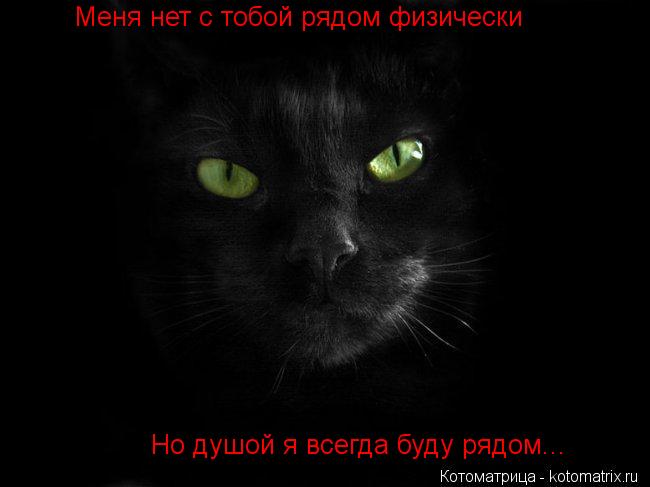 Котоматрица: Меня нет с тобой рядом физически Но душой я всегда буду рядом...