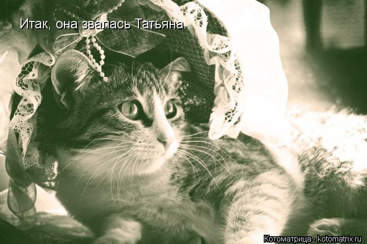 Итак, она звалась Татьяна.... Котоматрица: Итак, она звалась Татьяна.