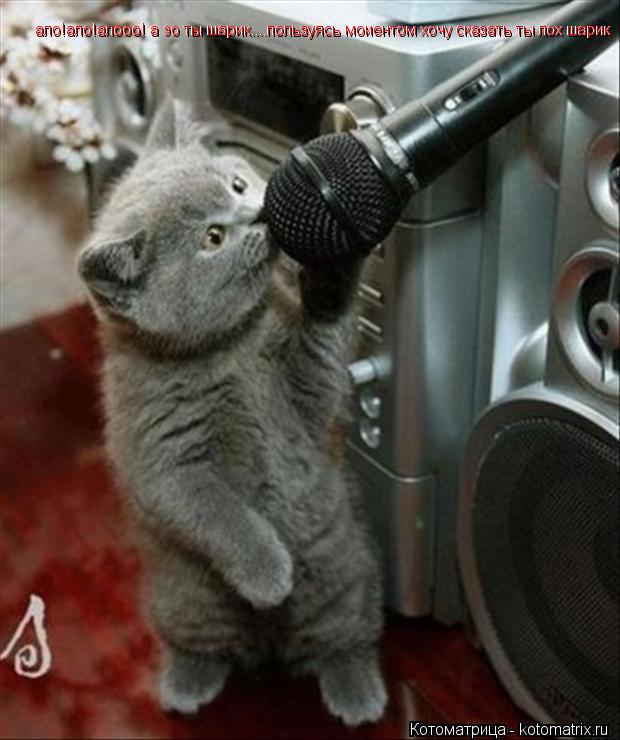 ало!ало!алооо! а эо ты шарик....пользуясь моиентом хочу сказать ты лох шарик ало!ало!алооо! а эо ты ш... Котоматрица: ало!ало!алооо! а эо ты шарик....пользуясь моиентом хочу сказать ты лох шарик ало!ало!алооо! а эо ты шарик....пользуясь моиентом хочу сказать ты