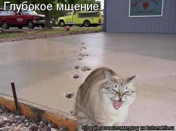 Глубокое мщение.... Котоматрица: Глубокое мщение.
