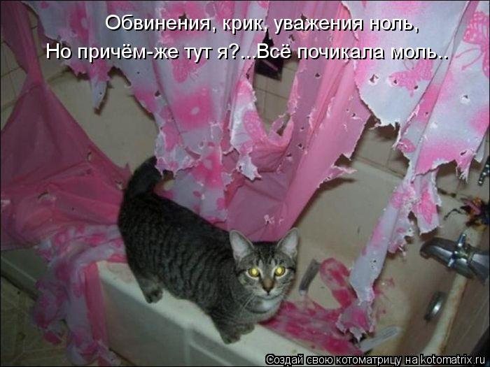 Обвинения, крик, уважения ноль, Но причём-же тут я?...Всё почикала моль..... Котоматрица: Обвинения, крик, уважения ноль, Но причём-же тут я?...Всё почикала моль..