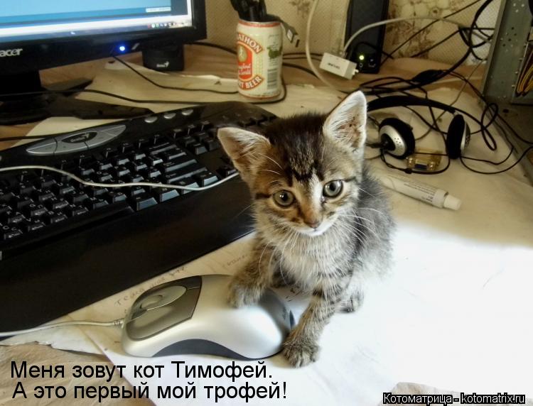 Котоматрица: Меня зовут кот Тимофей. А это первый мой трофей!