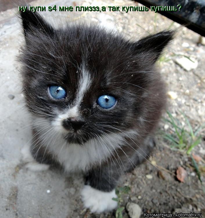 ну купи s4 мне плиззз,а так купишь купишь? ну купи s4 мне плиззз,а так купишь купишь?... Котоматрица: ну купи s4 мне плиззз,а так купишь купишь? ну купи s4 мне плиззз,а так купишь купишь?