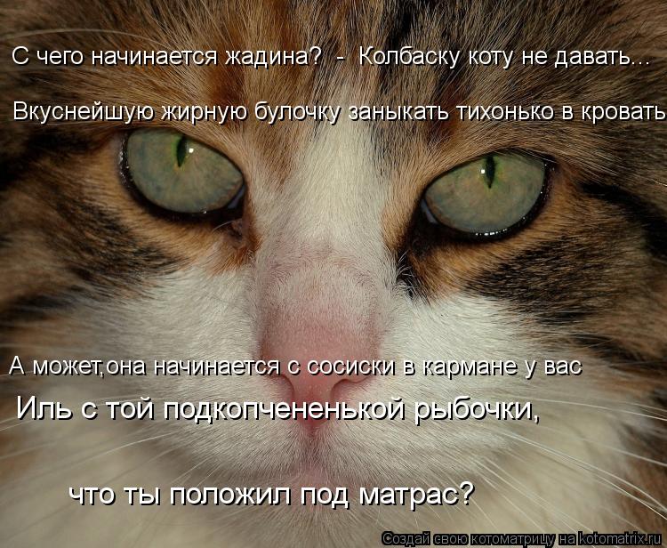 С чего начинается жадина? - Колбаску коту не давать... А может,она начинается с сосиски в кармане у... Котоматрица: С чего начинается жадина? - Колбаску коту не давать... А может,она начинается с сосиски в кармане у вас Вкуснейшую жирную булочку заныкать