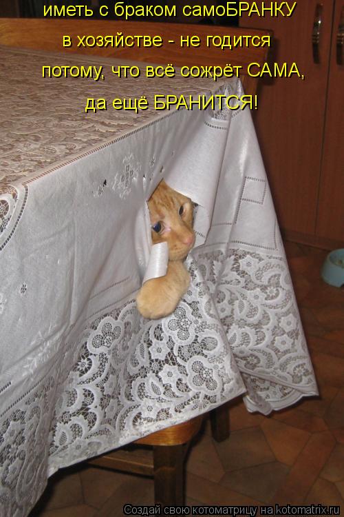 потому, что всё сожрёт САМА, да ещё БРАНИТСЯ! в хозяйстве - не годится иметь с браком самоБРАНКУ... Котоматрица: потому, что всё сожрёт САМА, да ещё БРАНИТСЯ! в хозяйстве - не годится иметь с браком самоБРАНКУ